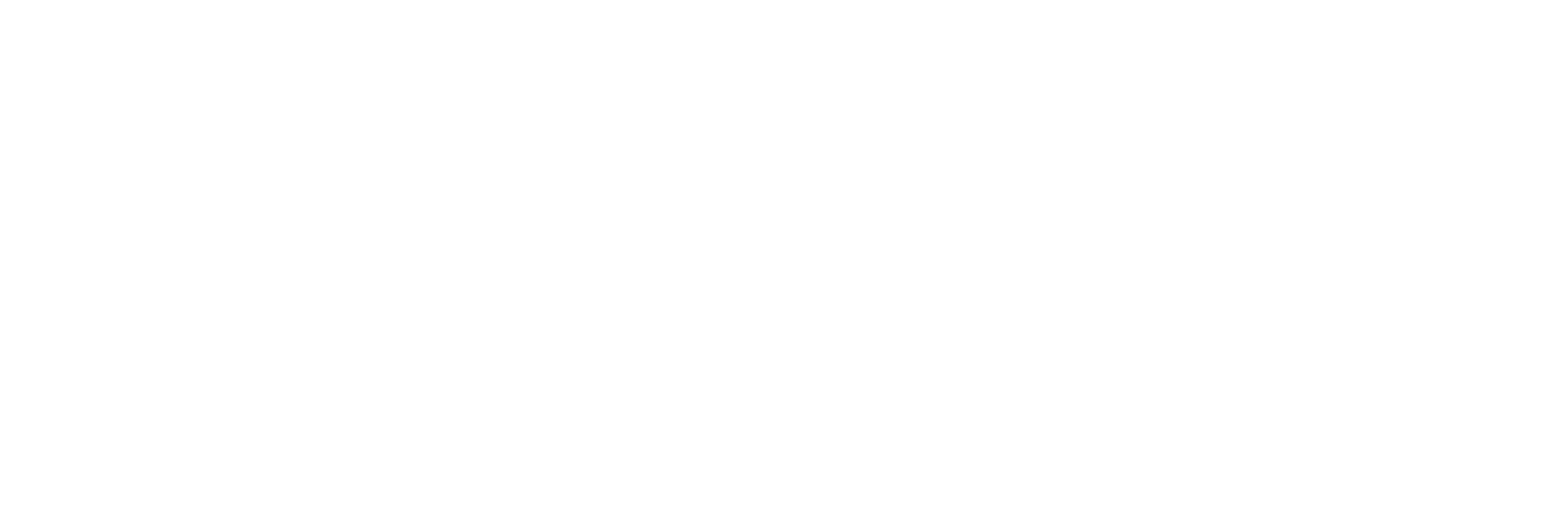 Himalayan Eyewear